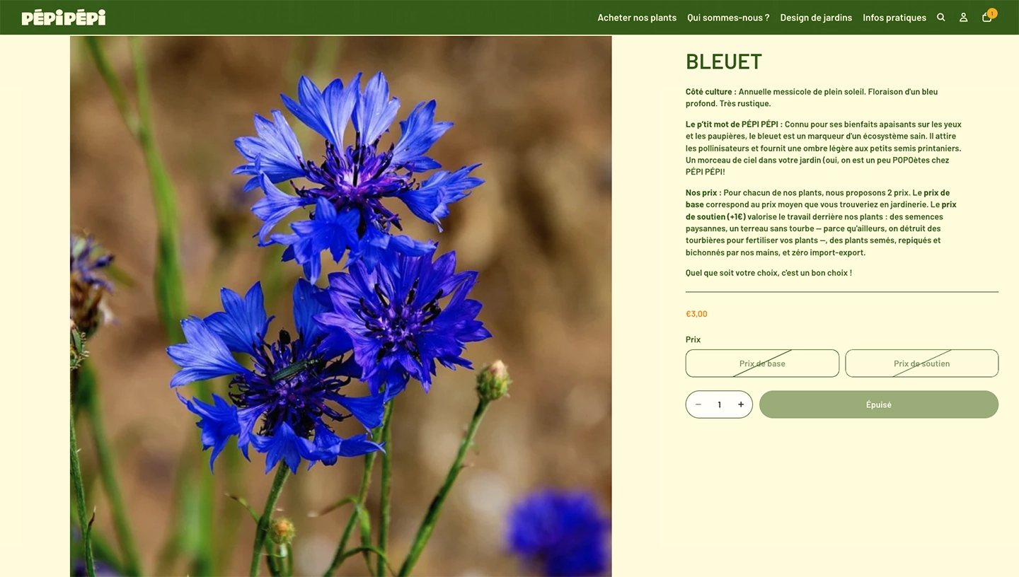 Close-up of vibrant blue cornflower blooms with green stems on a blurred brown background.